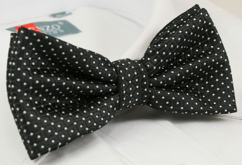 Modna mucha z poszetką - Alties Marka inna