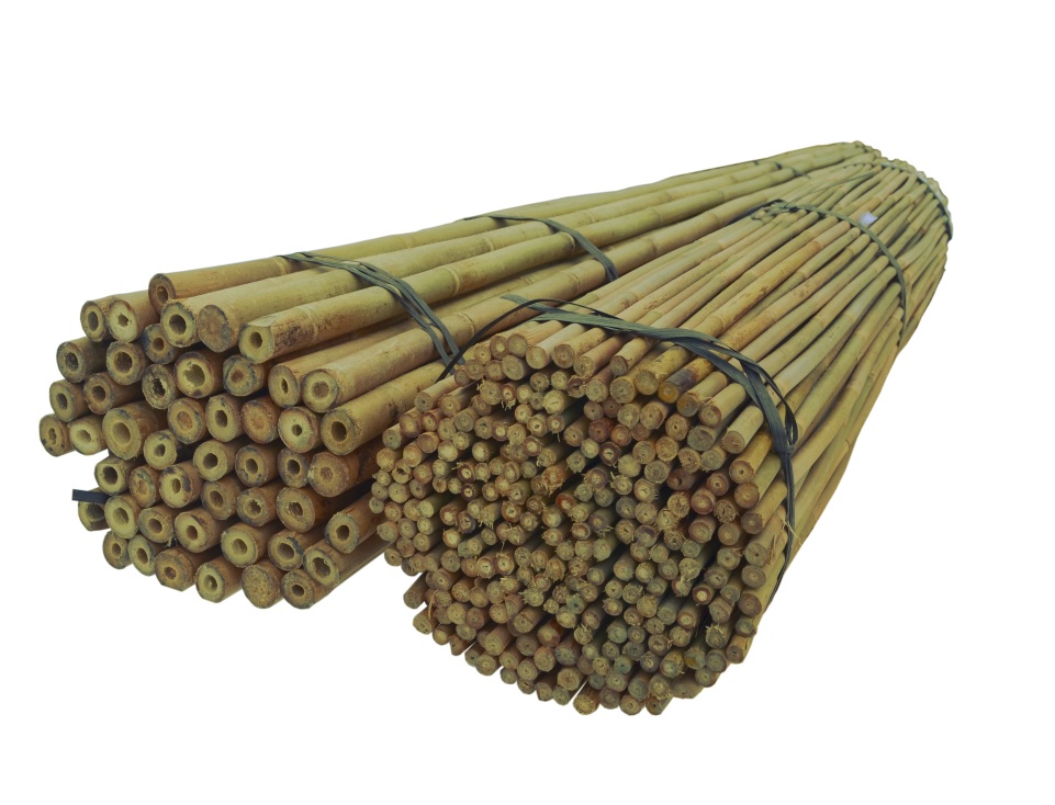 

Tyczki Bambusowe 150 cm 20/22 mm /50 szt, bambus