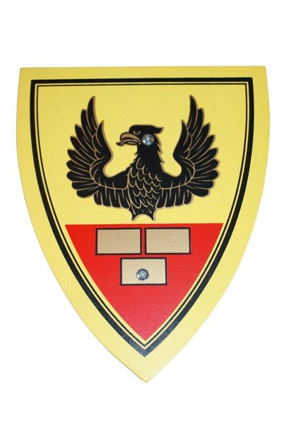 

Tarcza rycerska mała z rączką 25x30 Zawisza Czarny