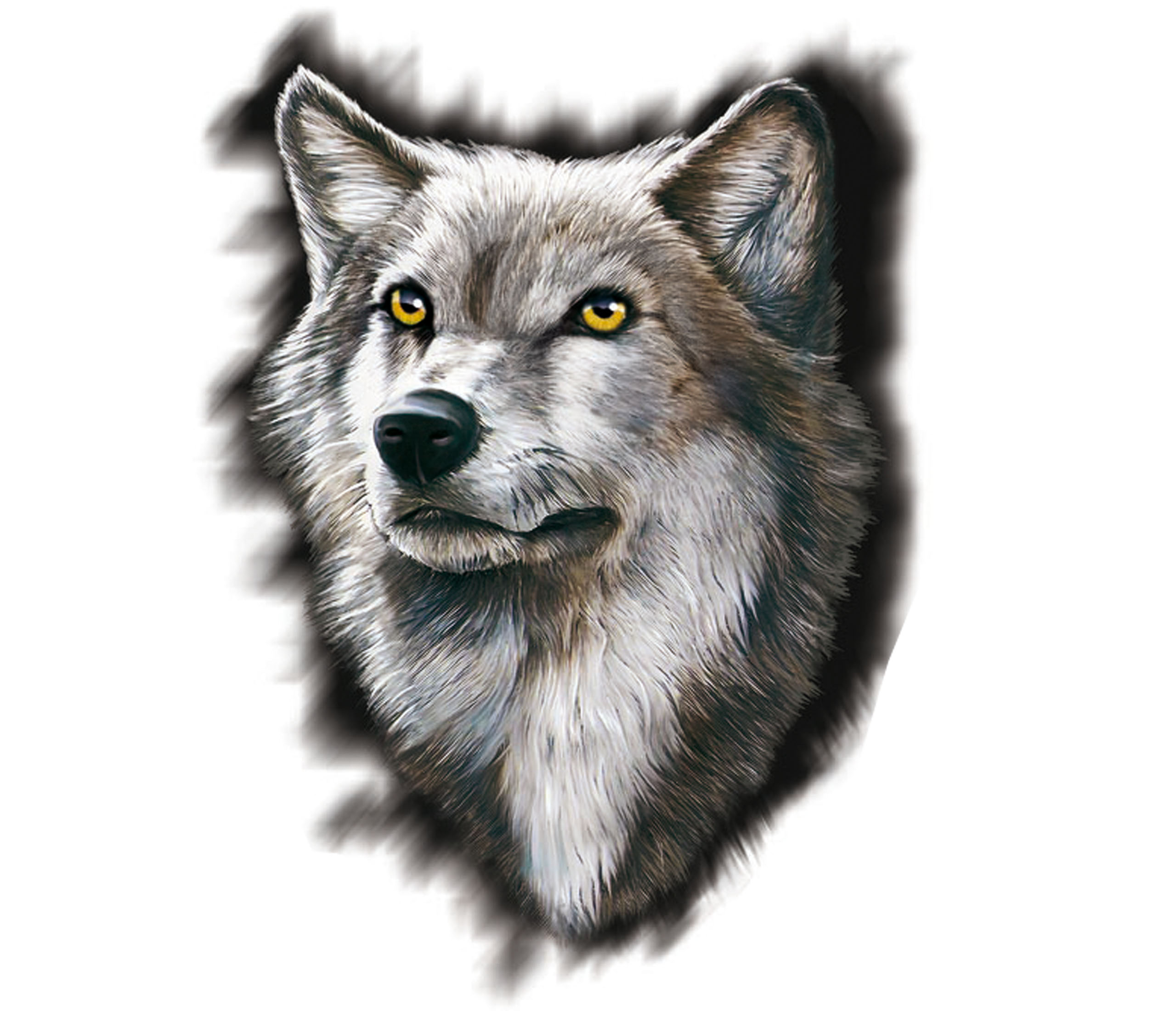 

Naklejka Auto Tuning Wilk Głowa Wilka Wolf Wild Uv