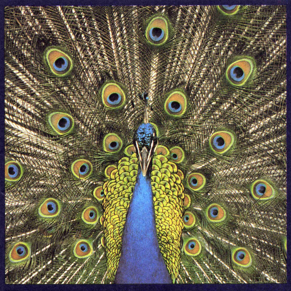 The Bluetones Expecting To Fly Nowa