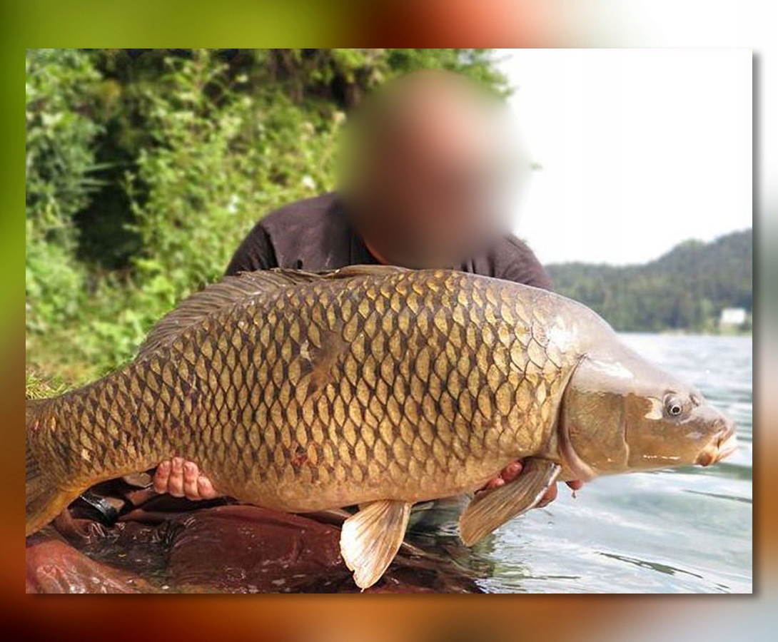 PODPÓRKA ZACISKOWA MISTRALL LUMINESCENCYJNA Marka Mistrall