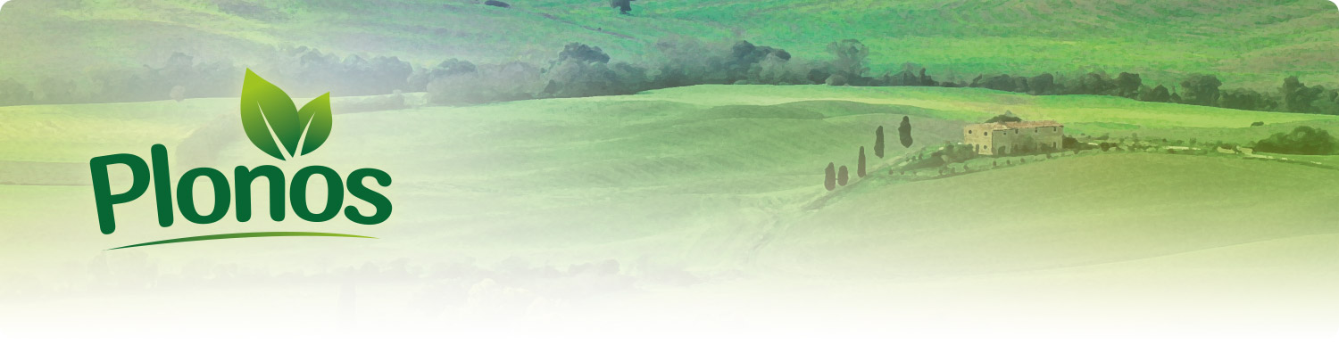 SKRZYNIA OGRODOWA KUFER TARAS BALKON PLONOS 270L Styl nowoczesny