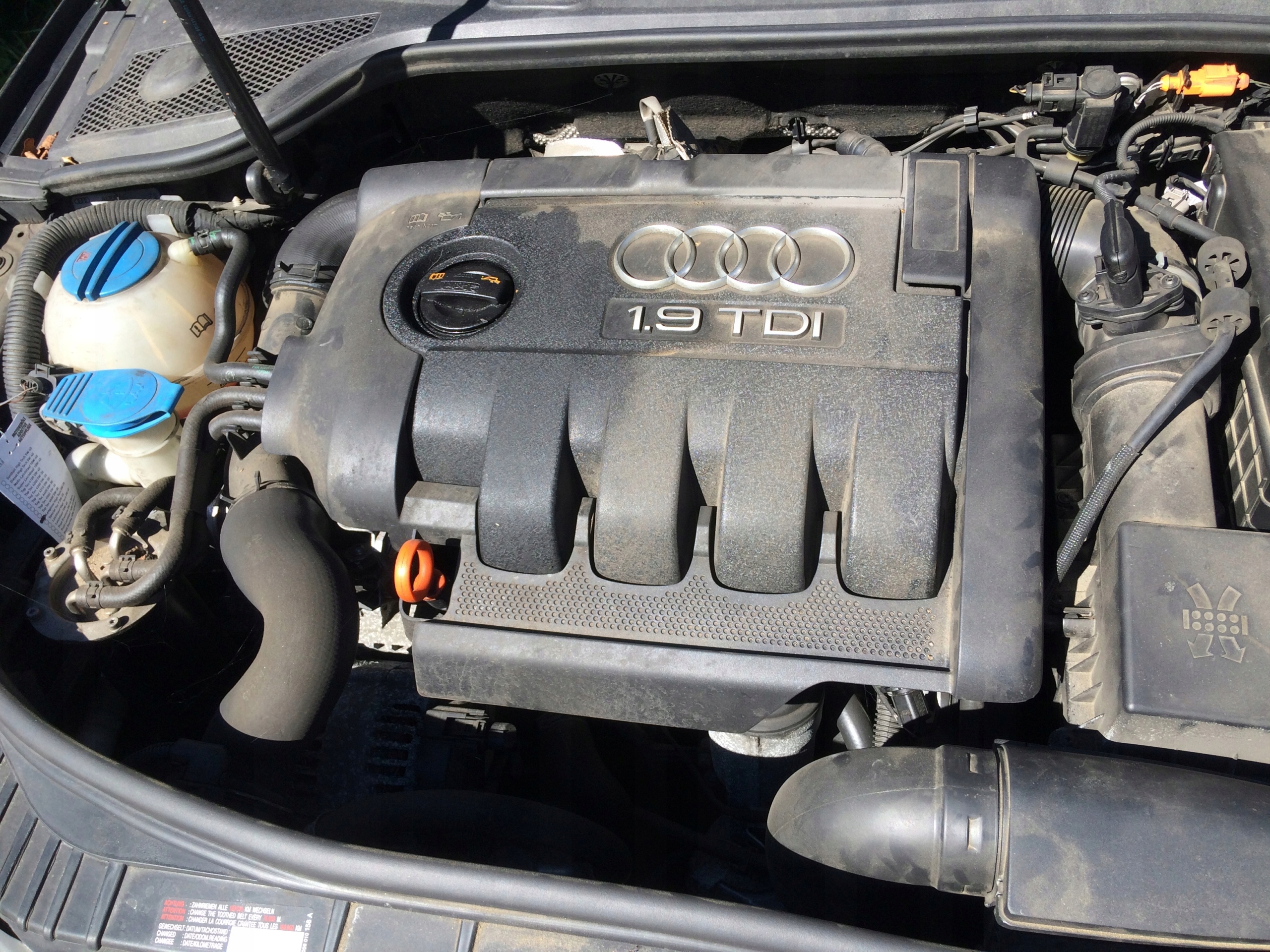 Audi A3 8p Jaki Silnik