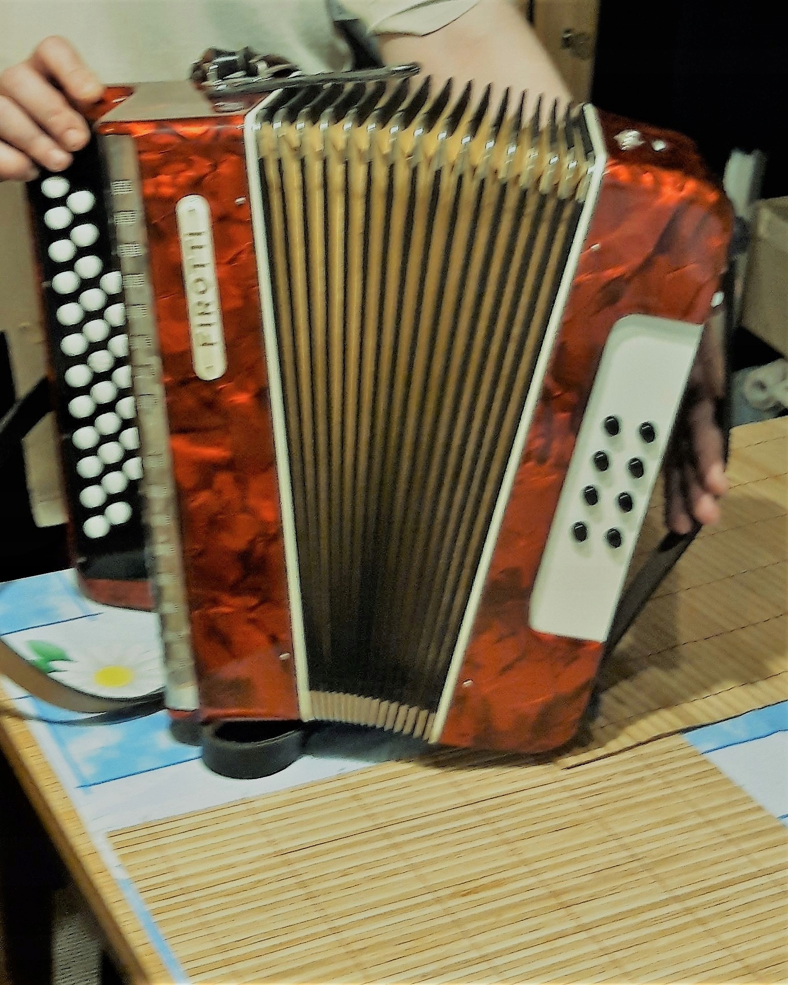 harmonia Firotti,instrument muzyczny, akordeon , 7582494719