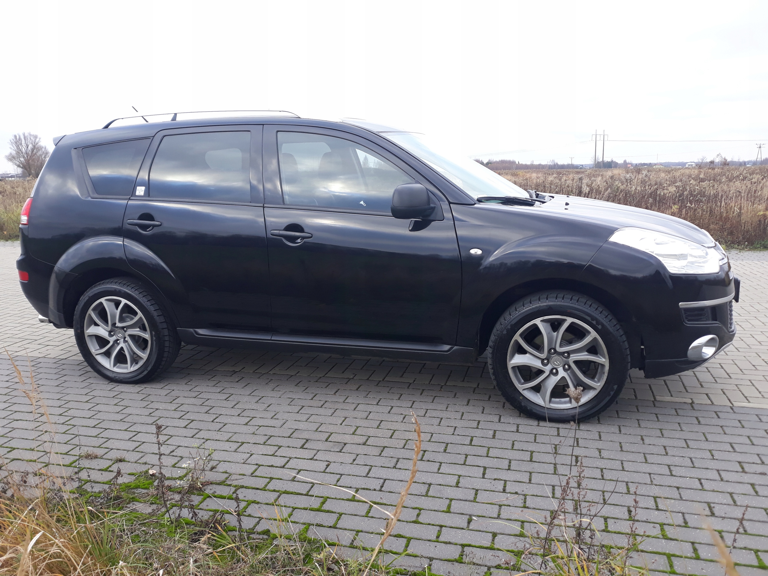 Citroen c crosser 2010