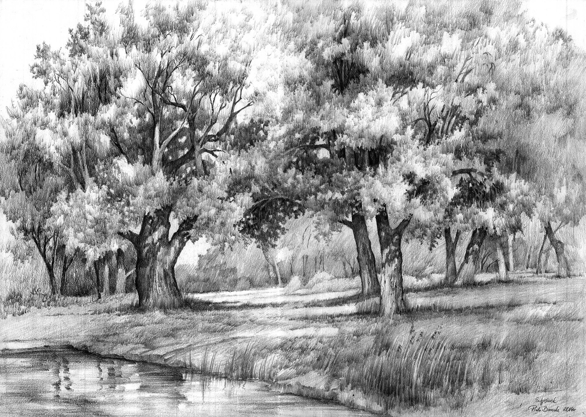 Rysunek Las Rzeka Drzewa
