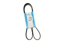 Dayco 6pk1462 ремешок, пояс клиновой многоканальный4, купить из Польши