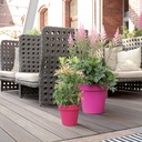 фото mini №4, Flowerpot prosperplast 16 centimeters x 16 x 14, 5 centimeters diameter 16 centimeters plastic shades of orange