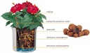 фото mini №4, Set hydroponics liner 15/ 19+ indicator h19 set