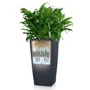 фото mini №6, Flowerpot lechuza cubico color 22 muszkat
