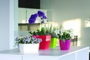 фото mini №3, Round flowerpot з stand 18xh17cm casing duop