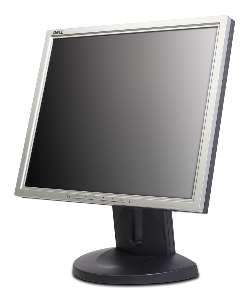 MONITOR DELL 1900FP 19' D-SUB DVI