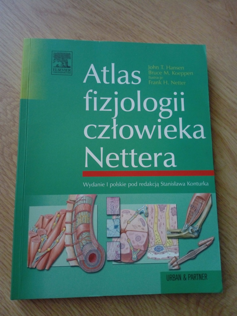 Atlas fizjologii człowieka Nettera, Hansen Koeppen