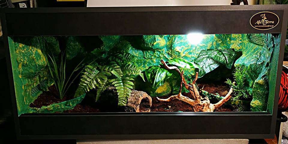 TERRARIUM LEŚNE 100x50x50 Nowe AlleTerra