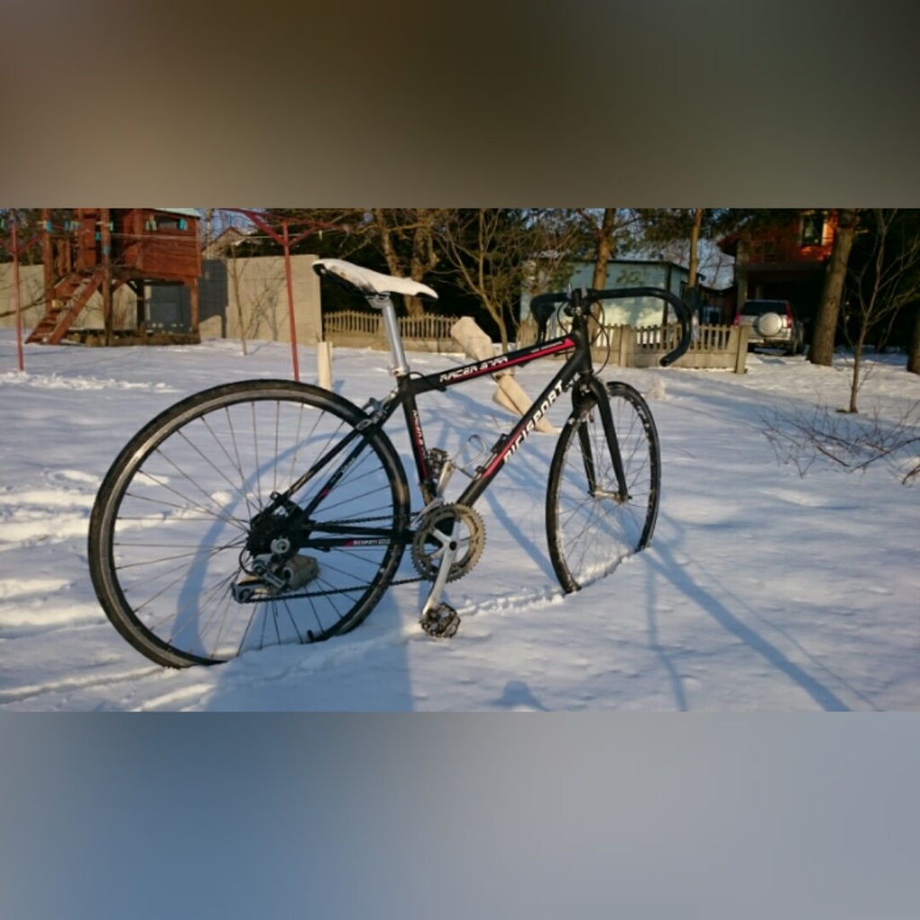 Rower Szosowy kolarka Bicisport Burghart roz 44 cm