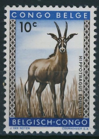 Kongo Belgijskie 10c -Antylopowiec koński