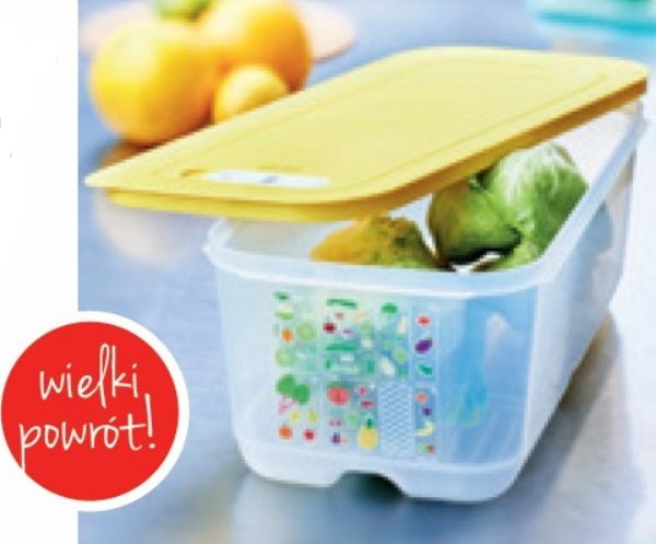 TUPPERWARE  SZKLARNIA VENTSMART 6,1 L.