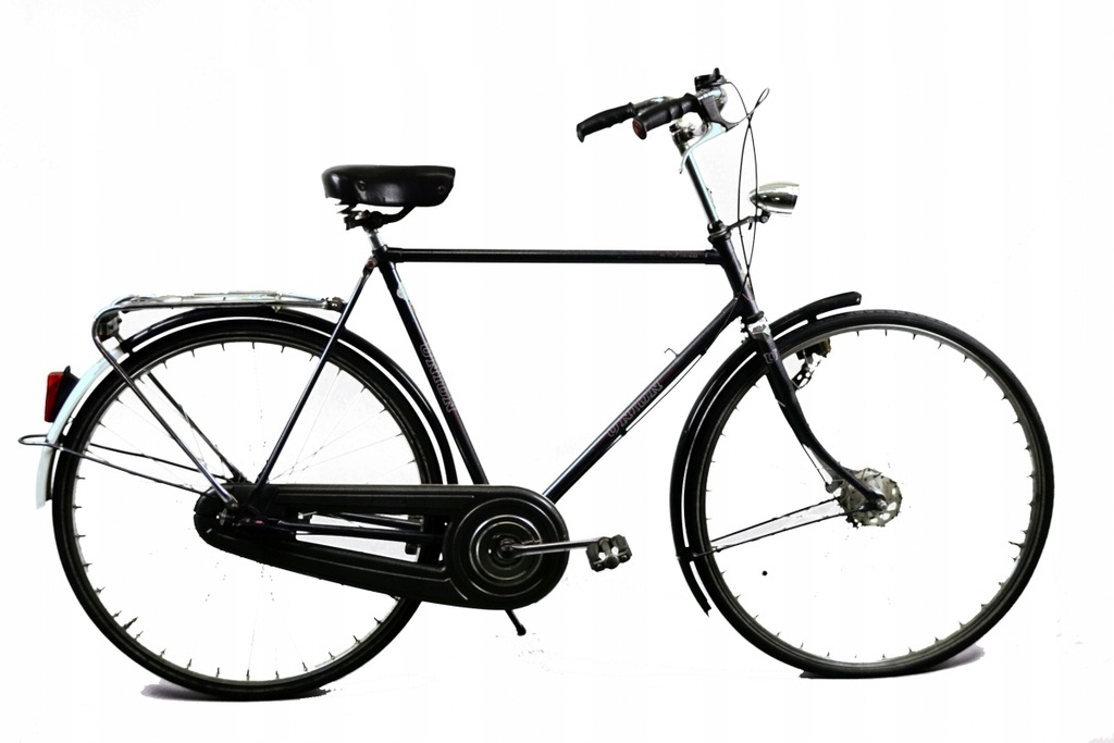 Rower Holenderski Union Safari