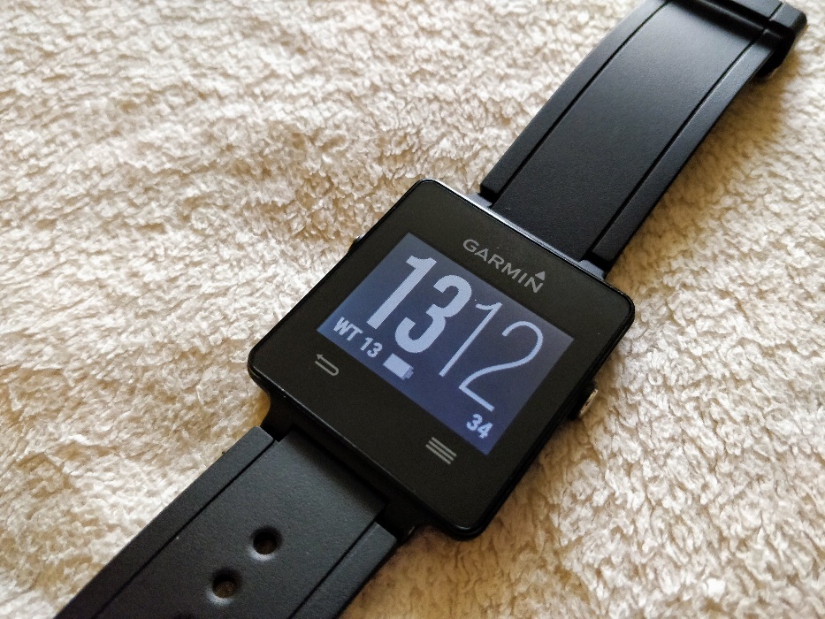 vivoactive ant 