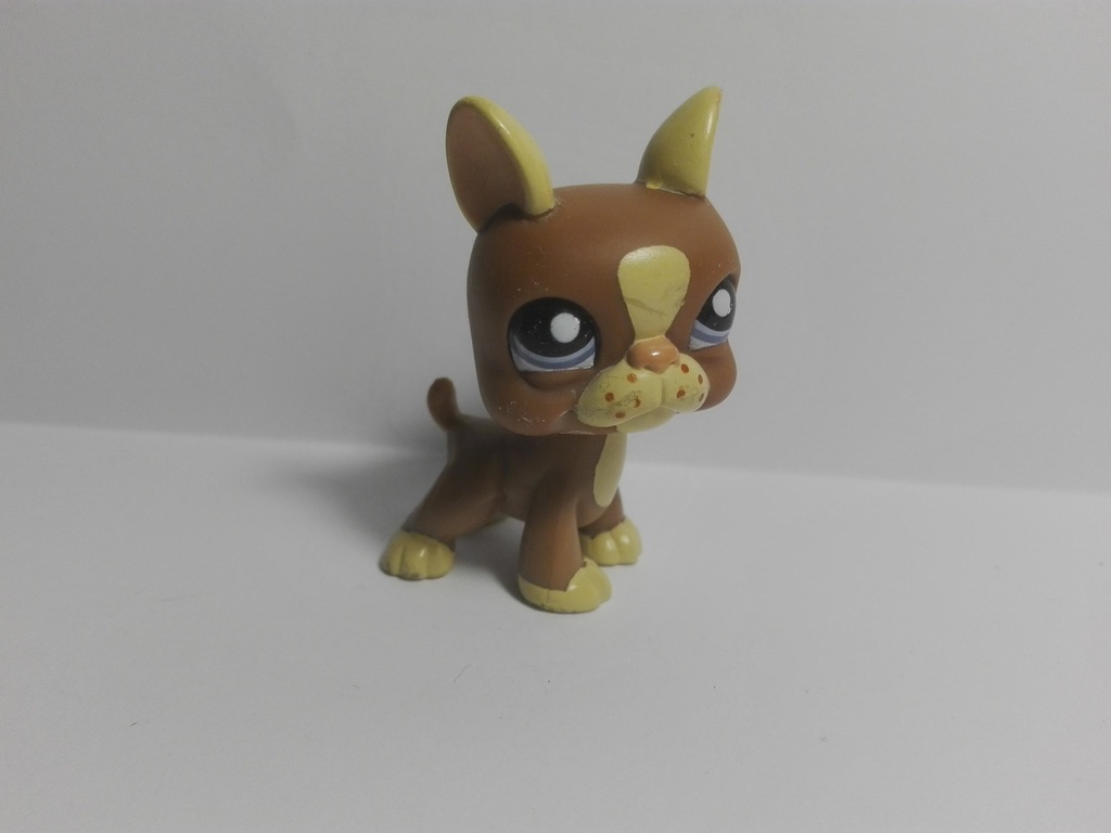 LPS buldog francuski+gratis