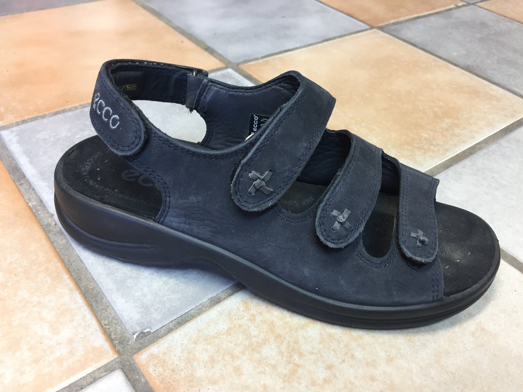 ecco light shock point