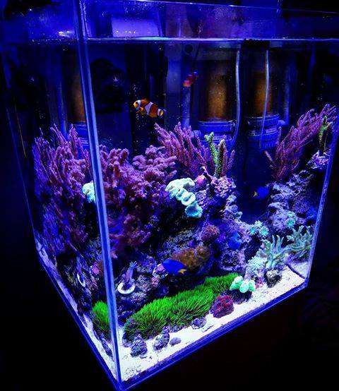 Lampa LED Sirius NANO Aquael Nano Reef Duo