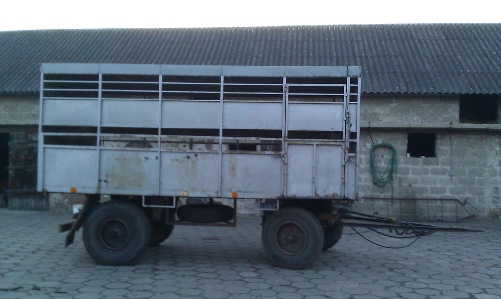 Przyczepa IFA HL 6102 do przewozu zwierząt, bydła