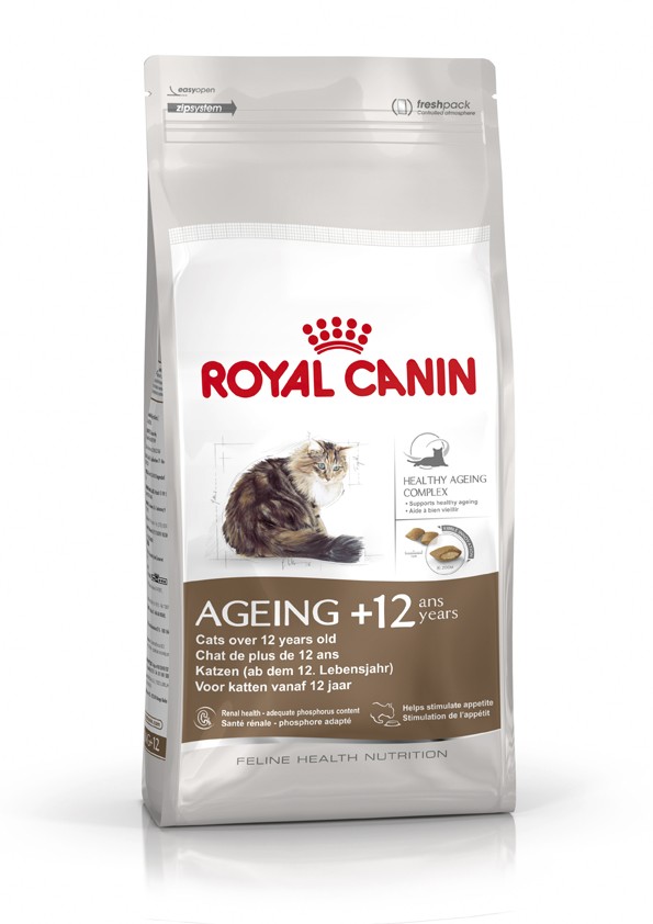 Karma koty starsze Royal Canin Ageing Cat +12 4kg