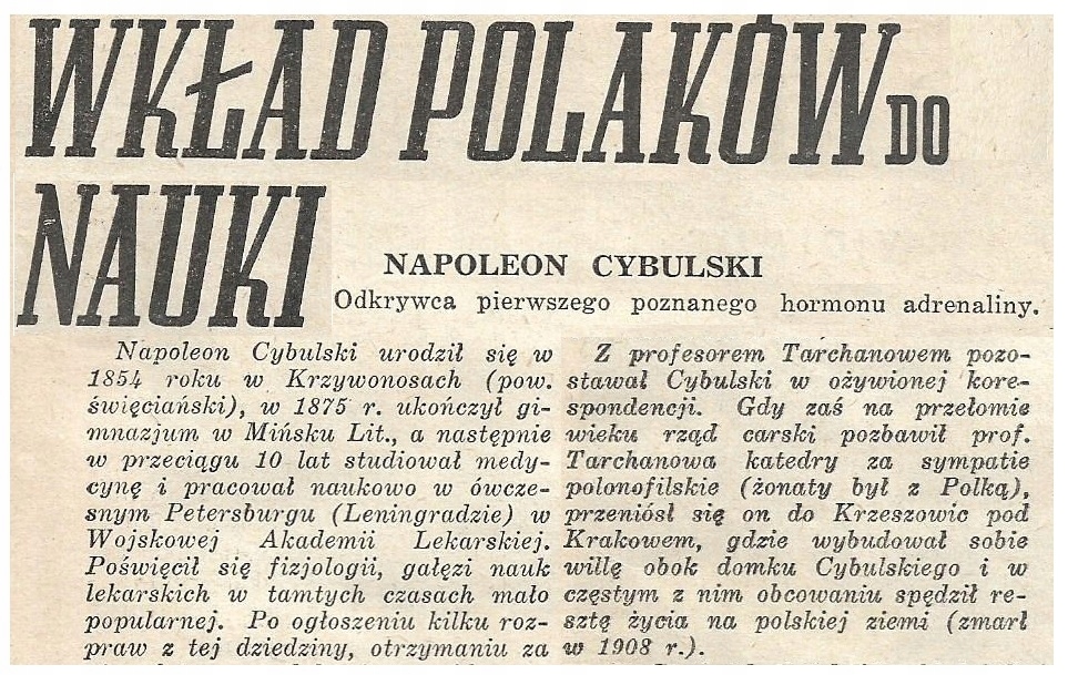 NAWOJOWA GÓRA k. KRZESZOWICE - CYBULSKI TARCHANOW