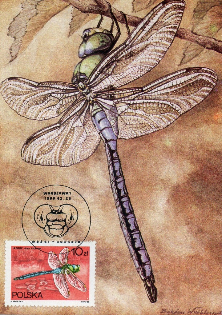 Karta CM Ważka Fi 2986 Husarz - Anax Imperator
