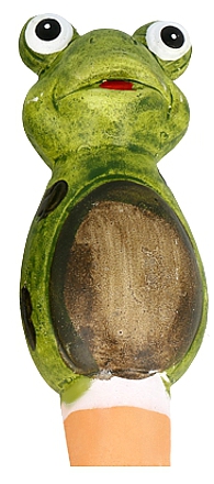 CERAMICZNY NAWADNIACZ ROŚLIN KWIATÓW ŻABKA
