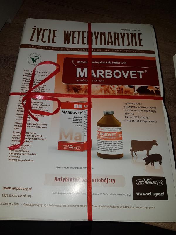 Życie Weterynaryjne 2017