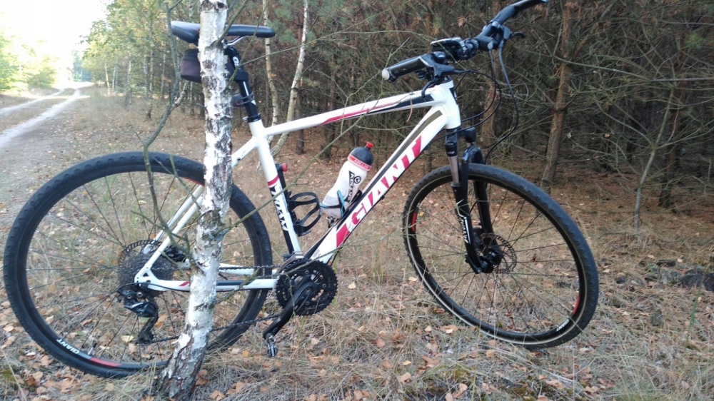 Rower crossowy Giant roam 1 7591871678 oficjalne archiwum Allegro