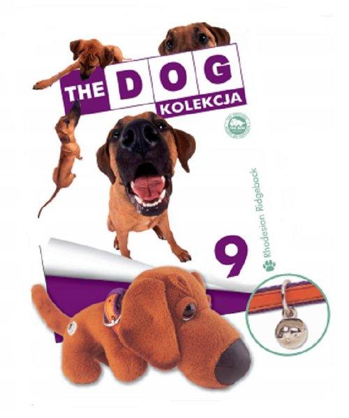 THE DOG 9 Rhodesian Ridgeback +maskotka piesek