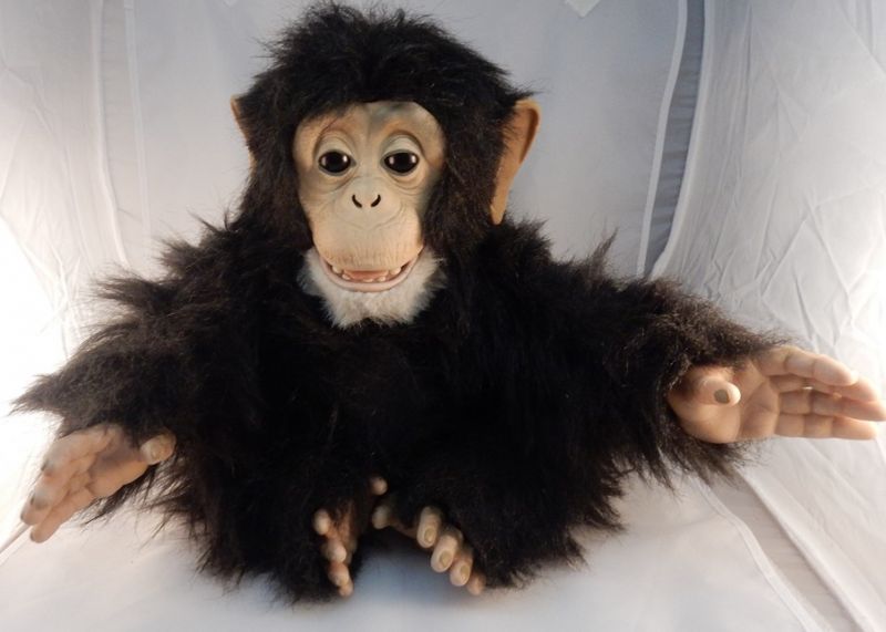furreal cuddle chimp