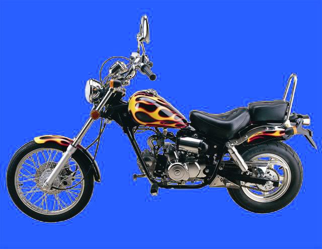 Błotnik tył King Łoś Chopper 50 Jolly Ranger Texas