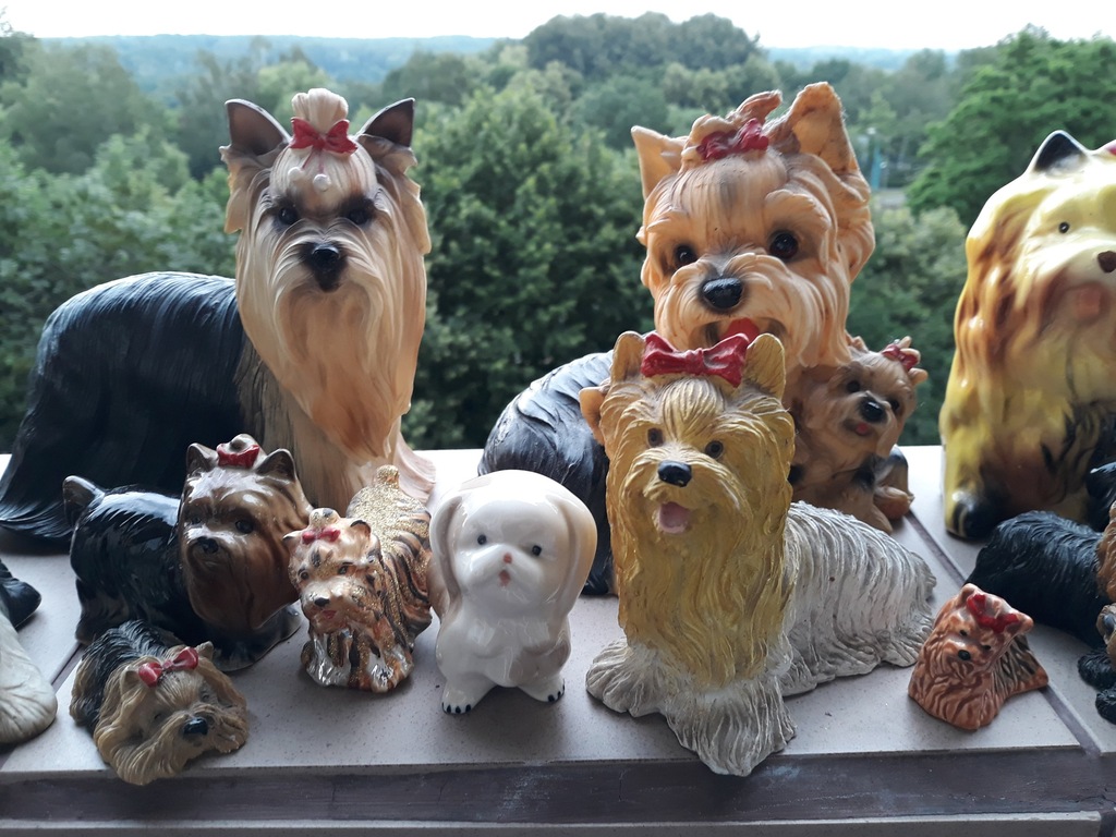 Kolekcja figurek pies Yorkshire Terrier