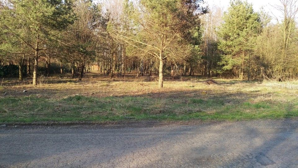 Działka budowlana Kalonka Łódź pilne! 7369862505 oficjalne archiwum