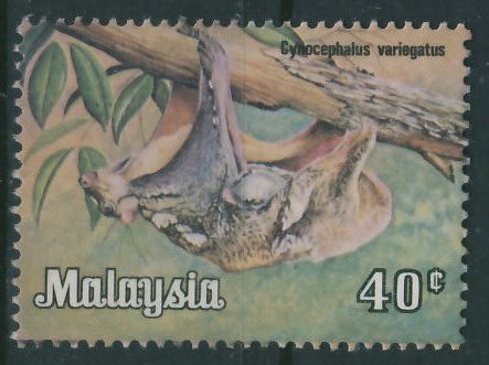Lalaysia 40c - Lotokot malajski