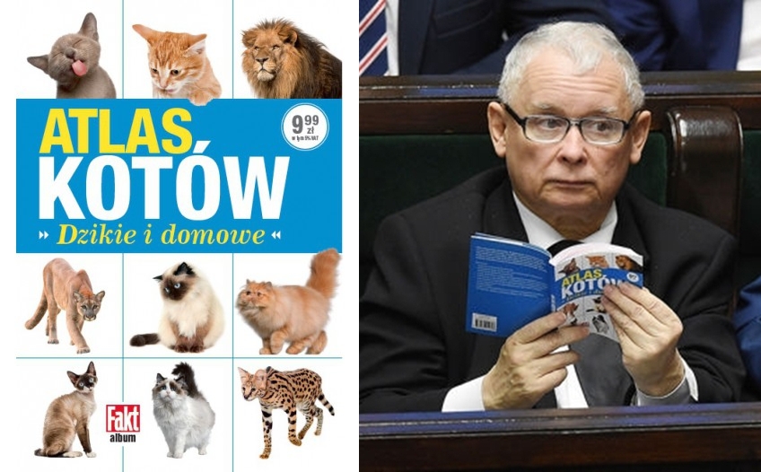 ATLAS KOTÓW dzikie i domowe - taki czytał Prezes