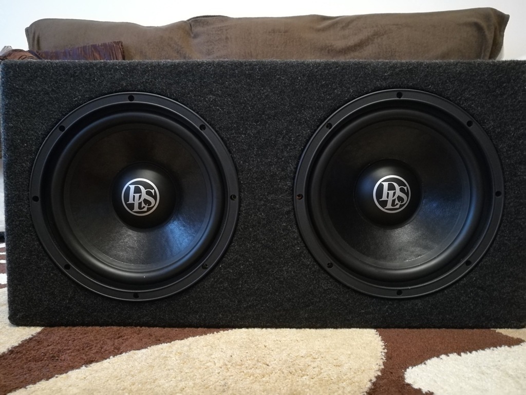 DLS W310D x2 w skrzyni zamkniętej