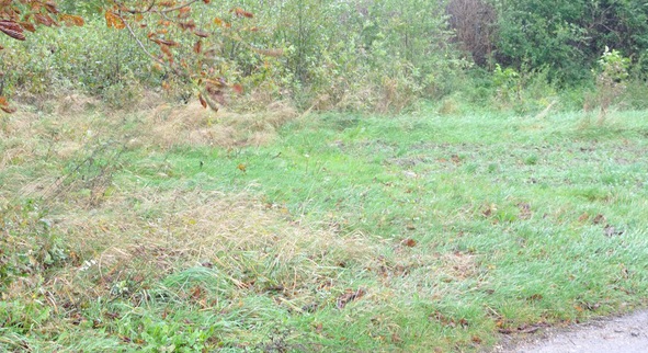 Działka budowlana 1250m2, Śląskie, Pszczyna