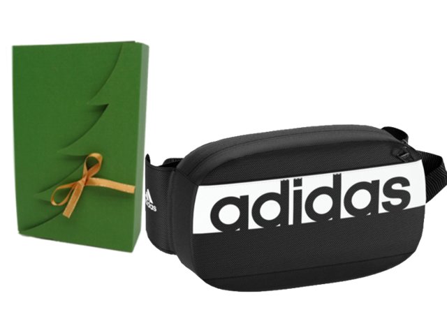 S99983 TORBA NERKA TOREBKA NA PAS ADIDAS SOSNOWIEC