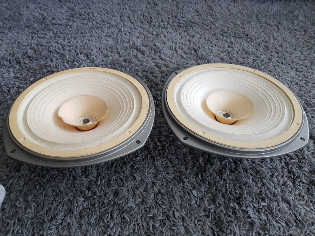 ⭐️CORAL FLAT10-Ⅱ フルレンジスピーカー　単品　コーラル　25cm ⭐️CORAL FLAT10-Ⅱ フルレンジスピーカー 単品 コーラル 25cm