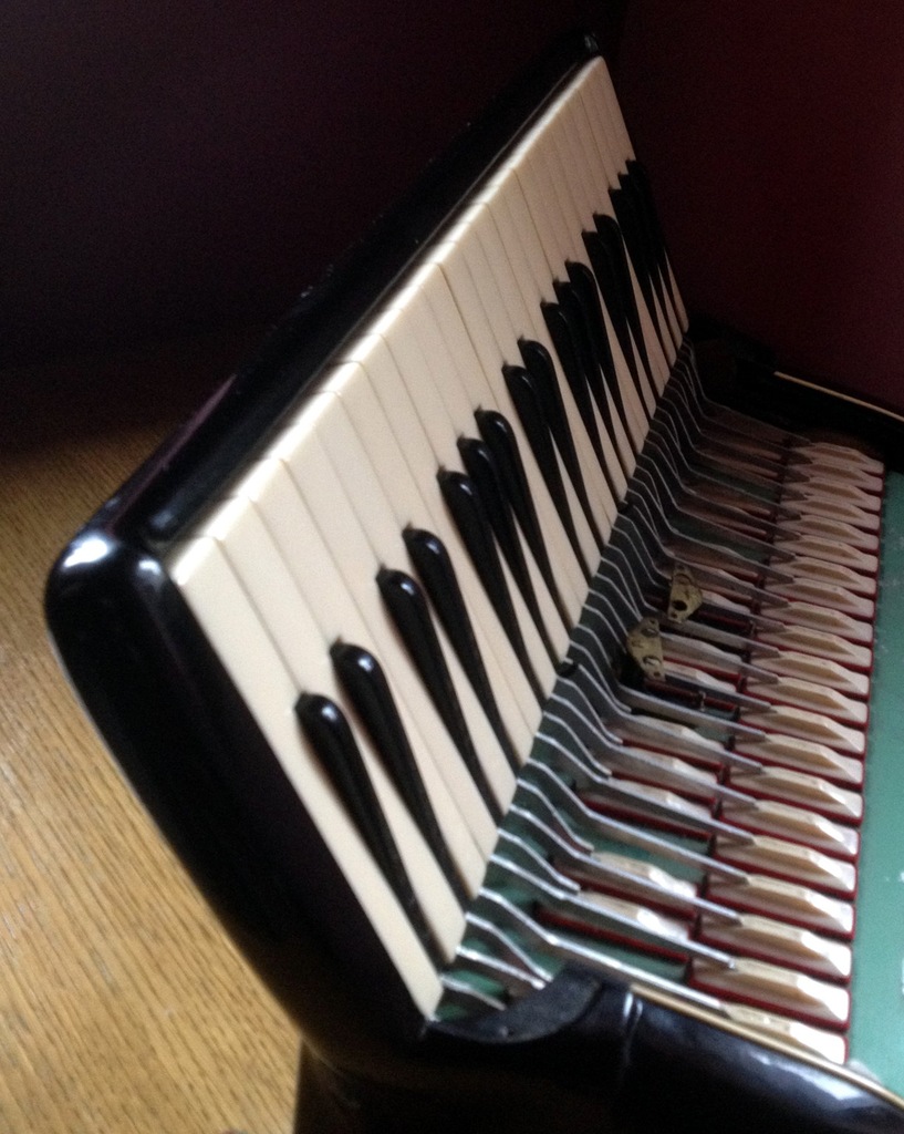 Akordeon Ligna 120B - połówka- klawisze.