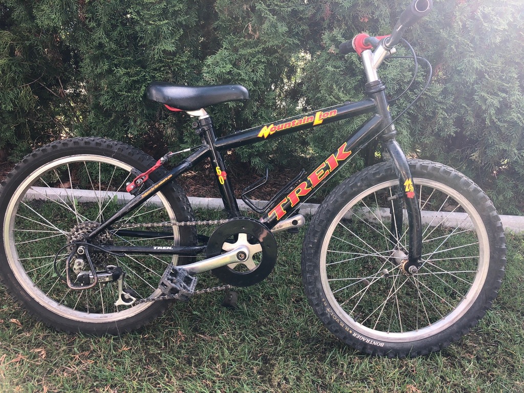 trek mountain lion bike