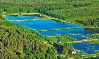 Stawy hodowlane 30ha, nieruchomość 150m2 OKAZJA