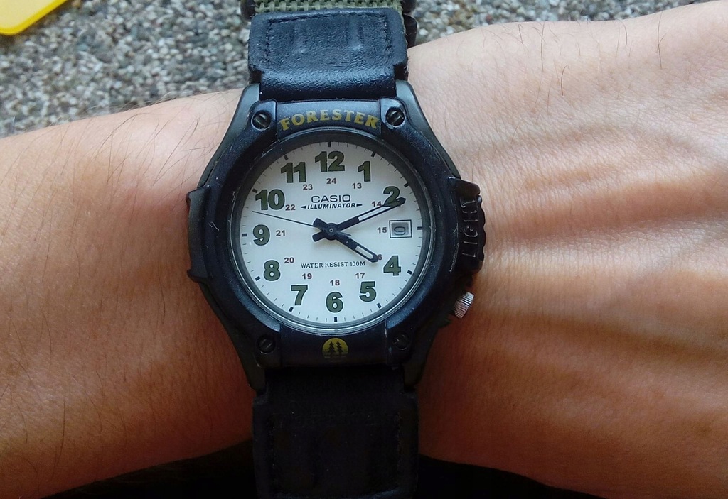 casio forester illuminator manual