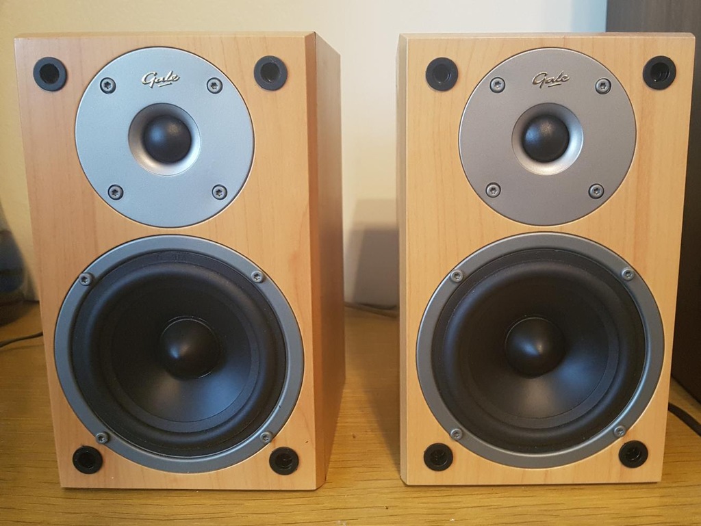 Brytyjskie minimonitory Gale 3010S